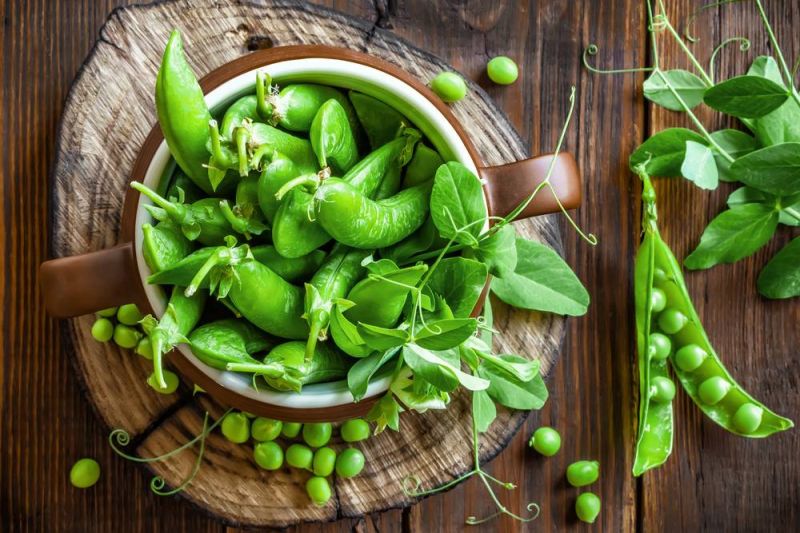 البازلاء أميرة الربيع الخضراء مصدر للطاقة وملين طبيعي