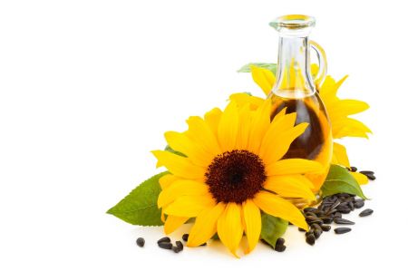 زيت زهرة عباد الشمس وطريقة استعماله لترطيب البشرة
