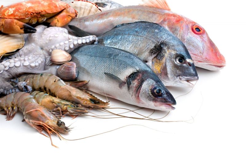 تعرفي على أكثر 6 أنواع سمك مفيدة للصحة