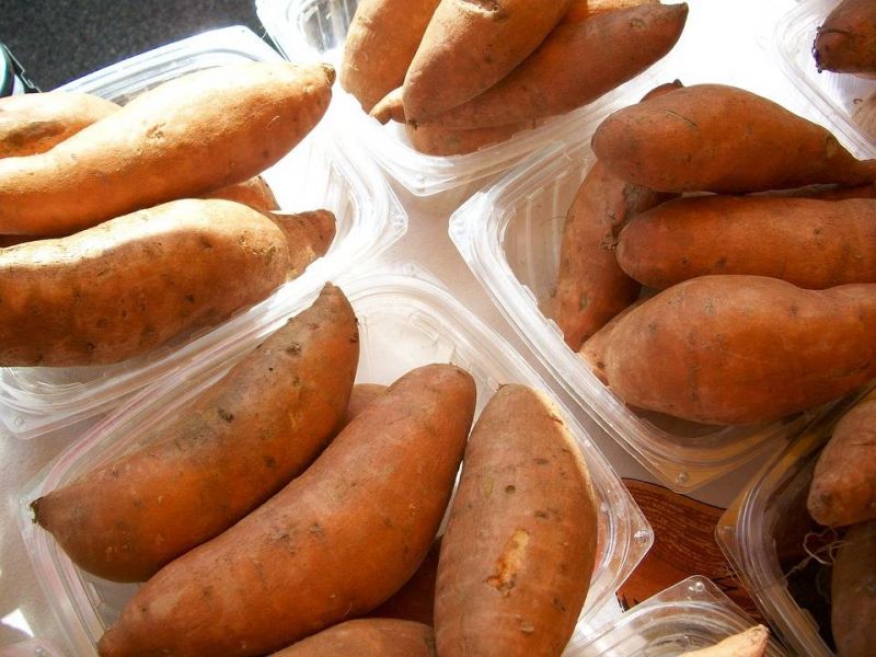 لبشرة نضرة بدون بقع … عليك بالبطاطا الحلوة والحليب والنعناع