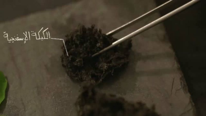 القريدس المدخن مع فتات القريدس والكيك المالح بالمايكرويف