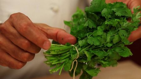 كيف نحافظ على لون وطعم الأعشاب في المطبخ