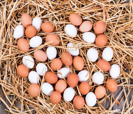البيض الأبيض والبني أسباب اختلافهما في السعر وأيهما أكثر فائدة؟
