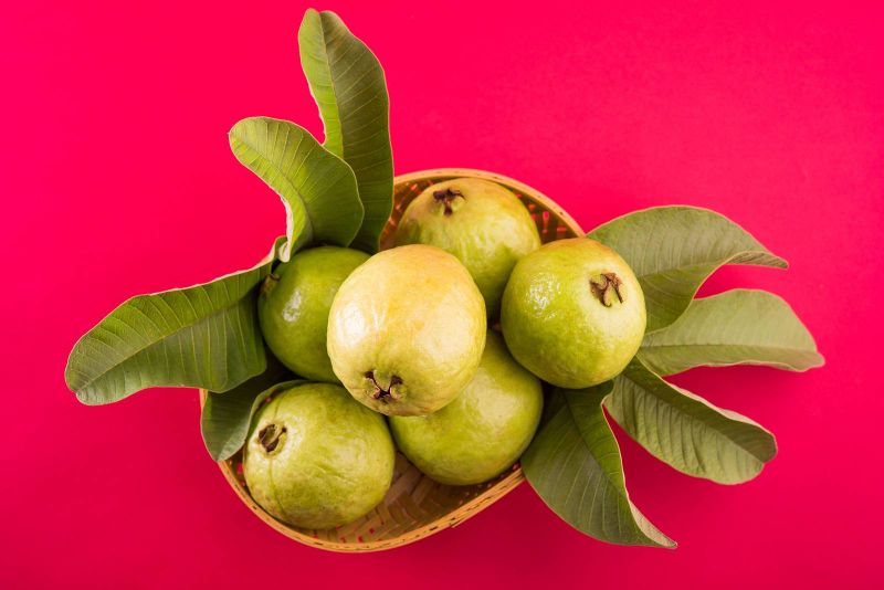 أوراق الجوافة وخل التفاح  وصفات طبيعية للتخلص من السعال