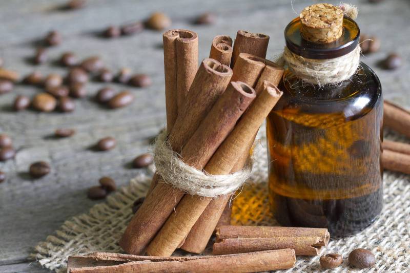 9 أسباب مهمة تجعل زيت القرفة لا يفارق منزلك