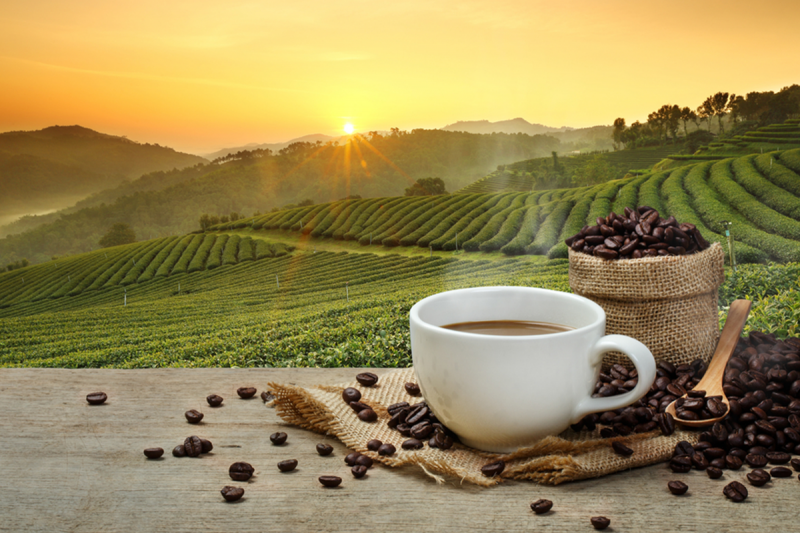إظبطي قهوتك واعرفي اشهر 10 أنواع للقهوة على مستوى العالم
