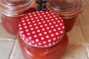 مربي التفاح والسفرجل